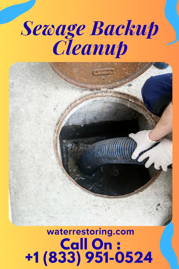 Sewage Backup Cleanup in Antioch, OH