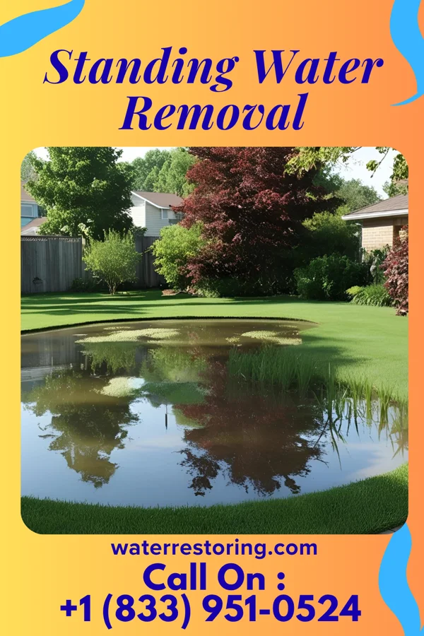 Standing Water Removal in Antioch, OH